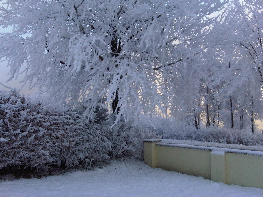 Ardarroch Cottage B&B Fassfern Zewnętrze zdjęcie